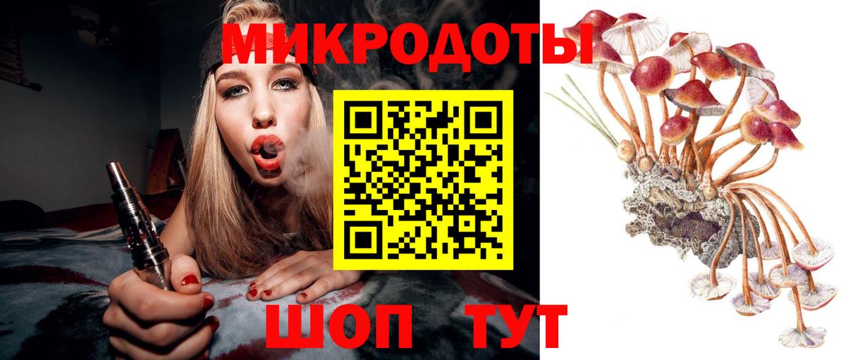 Псилоцибиновые грибы Psilocybine cubensis  Вход с VPN  Ачинск  как найти   Псилоцибиновые грибы Psilocybine cubensis 